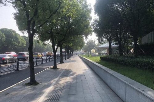 上海蔬菜配送站排名前十(上海蔬菜配送排名)插图11
