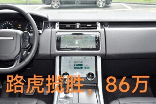汽车中控屏十大品牌排行榜(汽车中控屏幕十大排行)插图27