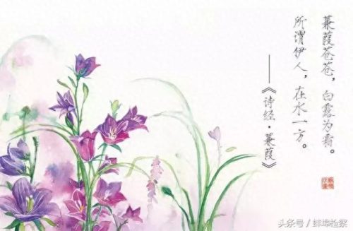 诗经篇目十大排行榜(诗经中描写农业的篇目)插图