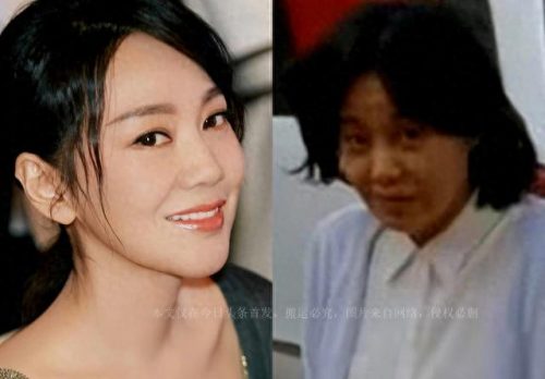 台湾综艺网红素颜排名前十(台湾综艺十大漂亮女神)插图5