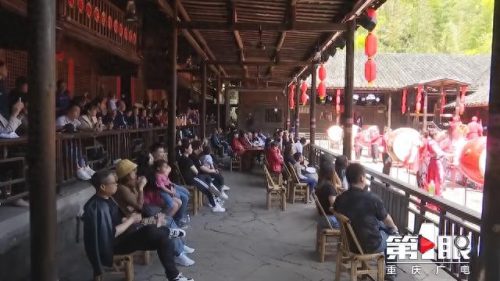 重庆最好的动物排名前十(重庆有什么珍稀动物)插图7