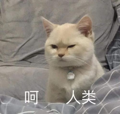 痛苦排名前十手术视频(打呼噜手术痛苦吗)插图1