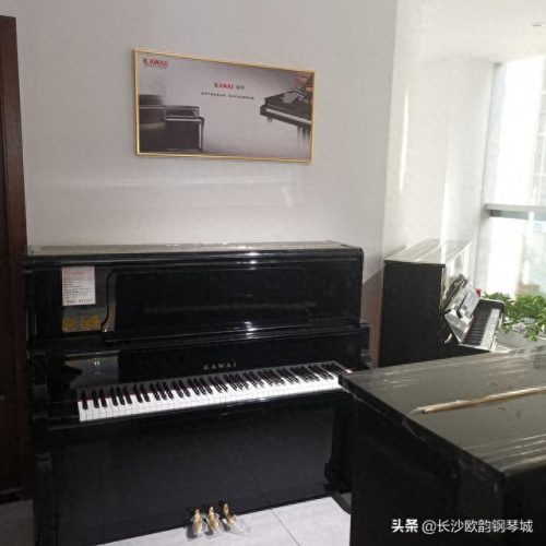 长沙市钢琴排名前十(娄底钢琴排行榜)插图3