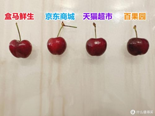 测厚卡尺十大品牌排行榜(品牌卡尺排行榜)插图26
