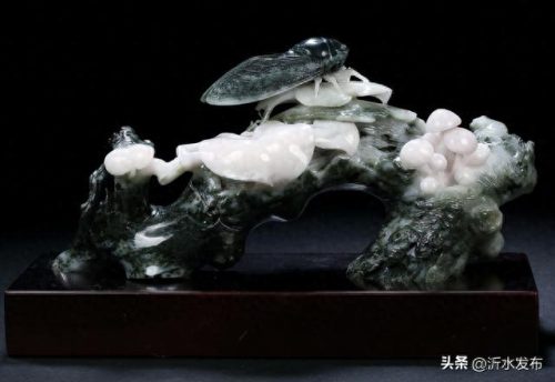 十大热门美女排行榜图片(福成集团十大美女)插图49