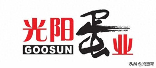 销售鸡蛋的企业排名前十(全国最大的鸡蛋企业)插图3
