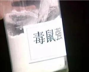 粘鼠板十大名牌排行榜(粘鼠板哪个品牌最好用)插图