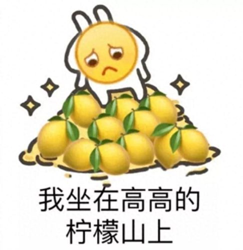 莆田别墅小电梯排名前十(莆田冲沁村别墅)插图3