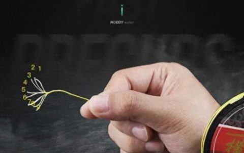 海钓pe线十大排行榜(公认十款最好pe线)