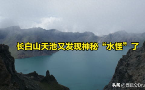水怪真相(尼斯湖水怪真相)