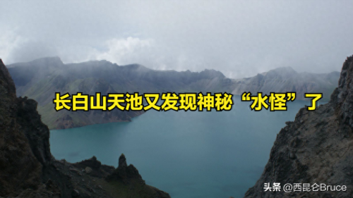 水怪真相(尼斯湖水怪真相)插图