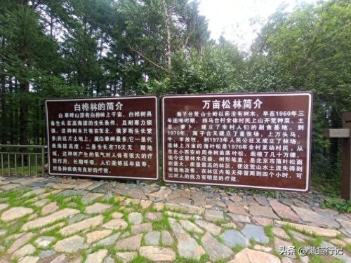 北京十大山峰海拔排行榜(中国所有山峰海拔排名)插图5