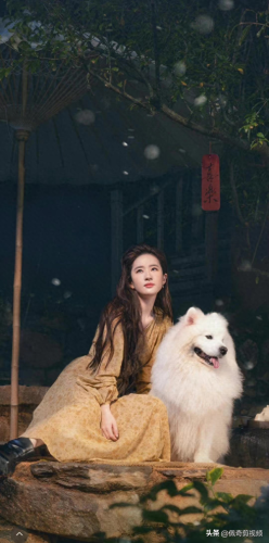 十大金鹰女神排行榜名单(历届最年轻的金鹰女神)插图1