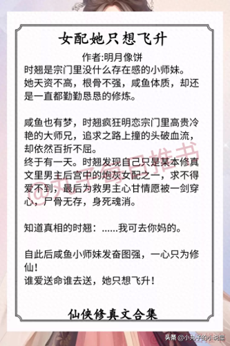 玄幻小说十大公主排行榜(女主是亡国公主被男主灭国的小说)插图