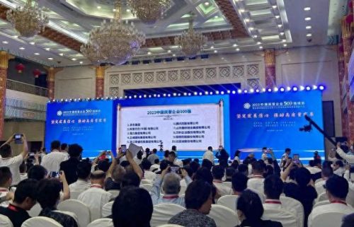 中国十大制造业民企排行榜(高端制造业十大龙头)插图1