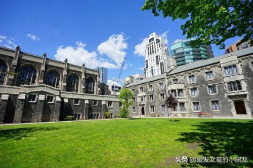全球最大的大学排名前十(十大世界大学排名榜)插图1