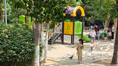 山东亲子乐园十大排行榜(山东最好玩的儿童乐园)插图65