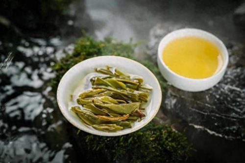 十大普洱茶山排行榜名称(六大普洱茶山代表品牌)插图7