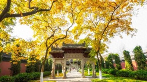 走心十大歌曲排行榜(走心的十大歌曲现场版)插图8