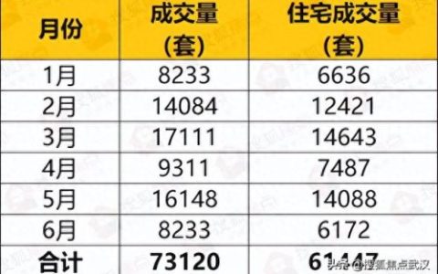 武汉开发商品质排名前十(武汉地产商品质排名)