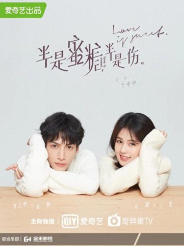 言情小说改编的电视剧(网络言情小说改编的电视剧)插图3