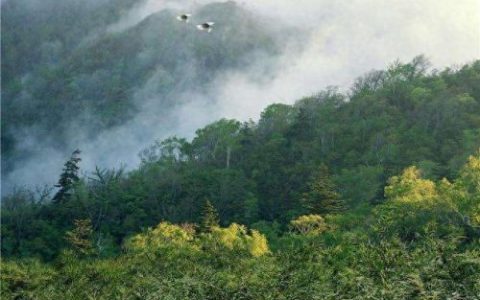 十大普洱茶山排行榜名称(六大普洱茶山代表品牌)