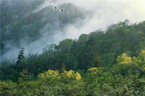 十大普洱茶山排行榜名称(六大普洱茶山代表品牌)插图