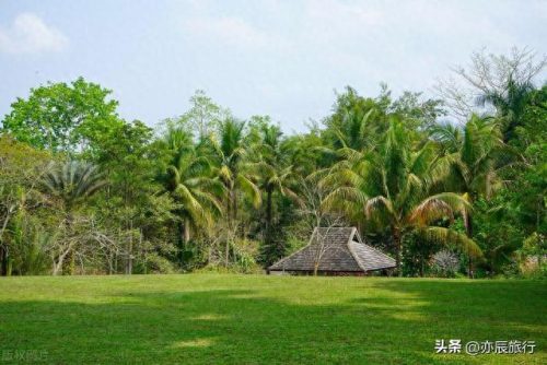世界最美森林公园排名前十(十大森林公园排行榜)插图41