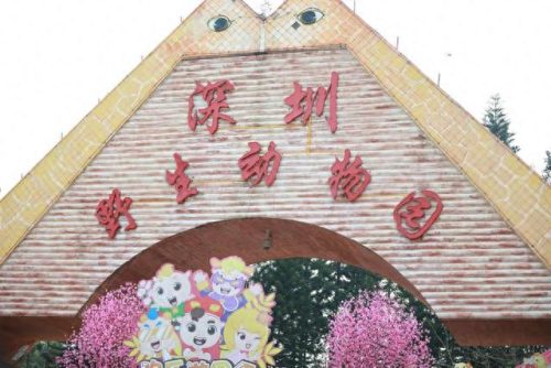 深圳十大风景名胜排行榜(深圳十大网红打卡圣地)插图15