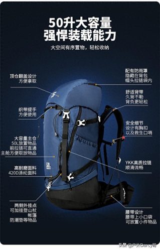 旅行包品牌(国产十大箱包排名)插图3