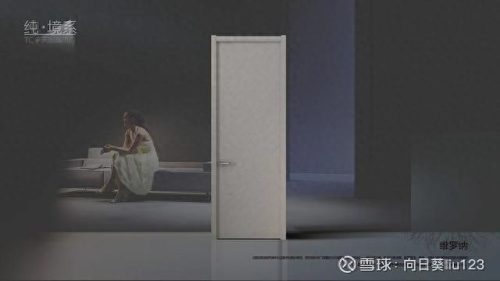 中国品牌木门排名前十位(铂盛木门是几线品牌)插图5