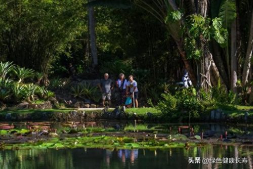 世界十大最美植物园排行榜(中国十大最美植物园)插图10