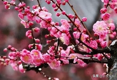 十大热门美女排行榜图片(福成集团十大美女)插图39