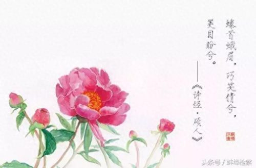 诗经篇目十大排行榜(诗经中描写农业的篇目)插图1