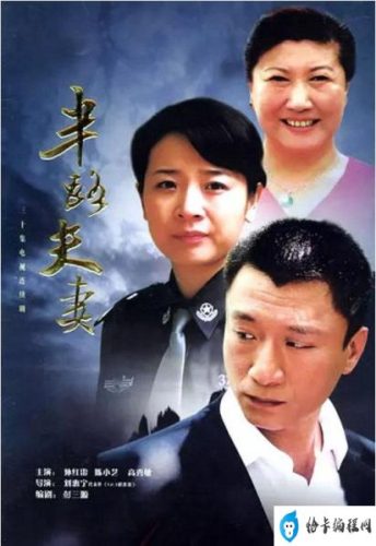 孙红雷主演电视剧大全(孙红雷电视剧大全)插图7