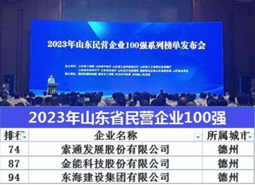 中国最大的材料厂排名前十(中国最大硅矿排名)插图1