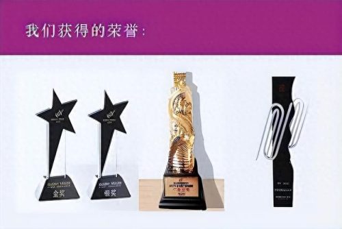 中国排名前十公关公司清远(中国十大公关公司排名)插图9