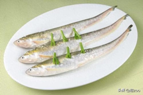 中国十大淡水鱼排行榜(中国十大名贵淡水鱼)插图1