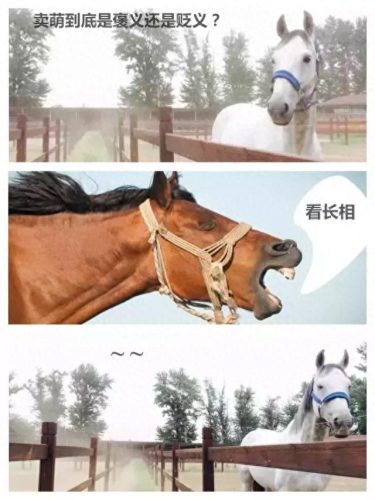 辩论赛中噎死对方的话(一句噎死对方的神回复)插图15