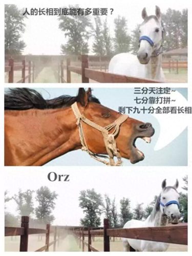 辩论赛中噎死对方的话(一句噎死对方的神回复)插图7