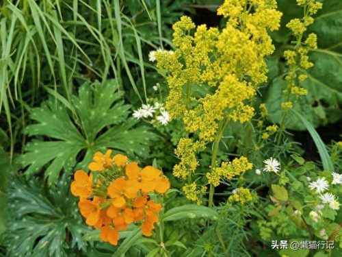 北京十大山峰海拔排行榜(中国所有山峰海拔排名)插图11