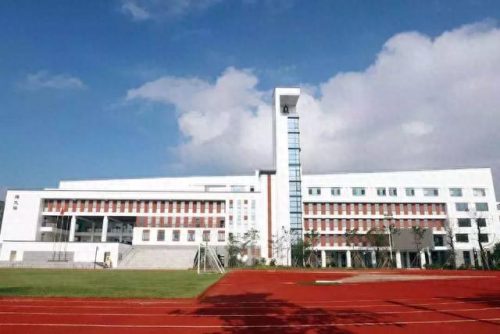 东莞龙岗的小学排名前十(凤岗的小学排名一览表)插图29