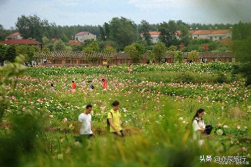 荆门十大公园排行榜最新(荆门十大免费公园)插图17