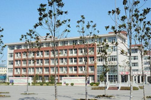 洛宁高三复读排名前十(洛宁高考直播)插图