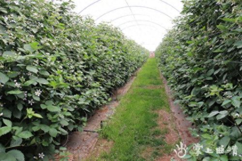 沾益区注册公司排名前十(从化公司注册排名前十)插图3
