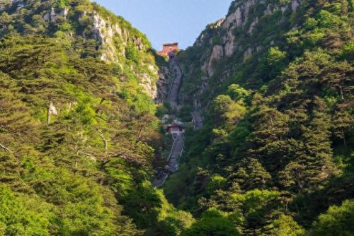世界最美森林公园排名前十(十大森林公园排行榜)插图20
