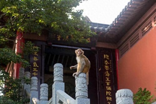 中国最难看的建筑排名前十(中国十大建筑集团排名)插图34