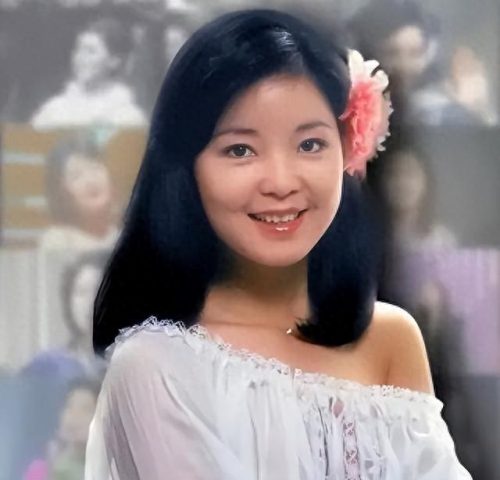 中国女明星十大鼻子排行榜(中国鼻子最美的十大女星)插图11