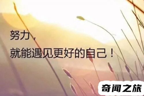 如何自我安慰心理(自我安慰心理书)插图3
