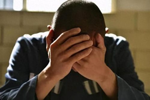 陕西西安减刑律师排名前十(长春减刑律师前十名)插图